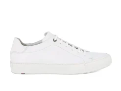Best Sneakers